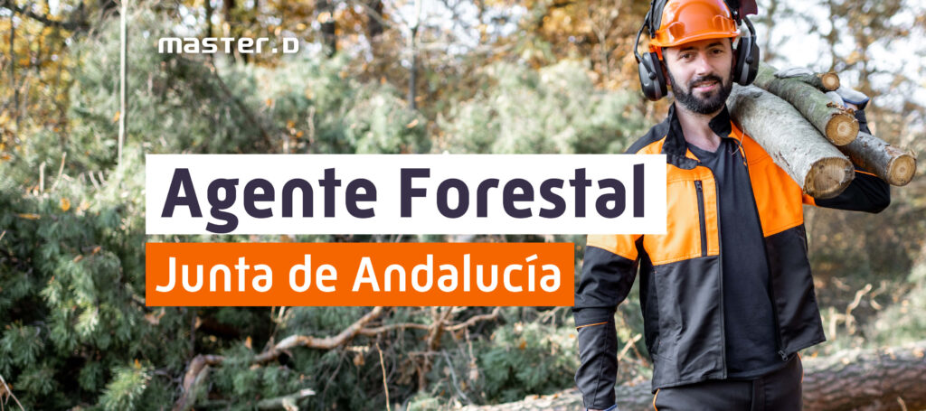 Qué sueldo tiene un Agente Medioambiental de Andalucía